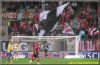 kop_eag2.jpg